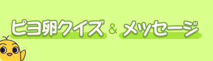 ピヨ卵情報BOX-クイズの応募、メッセージはこちらから