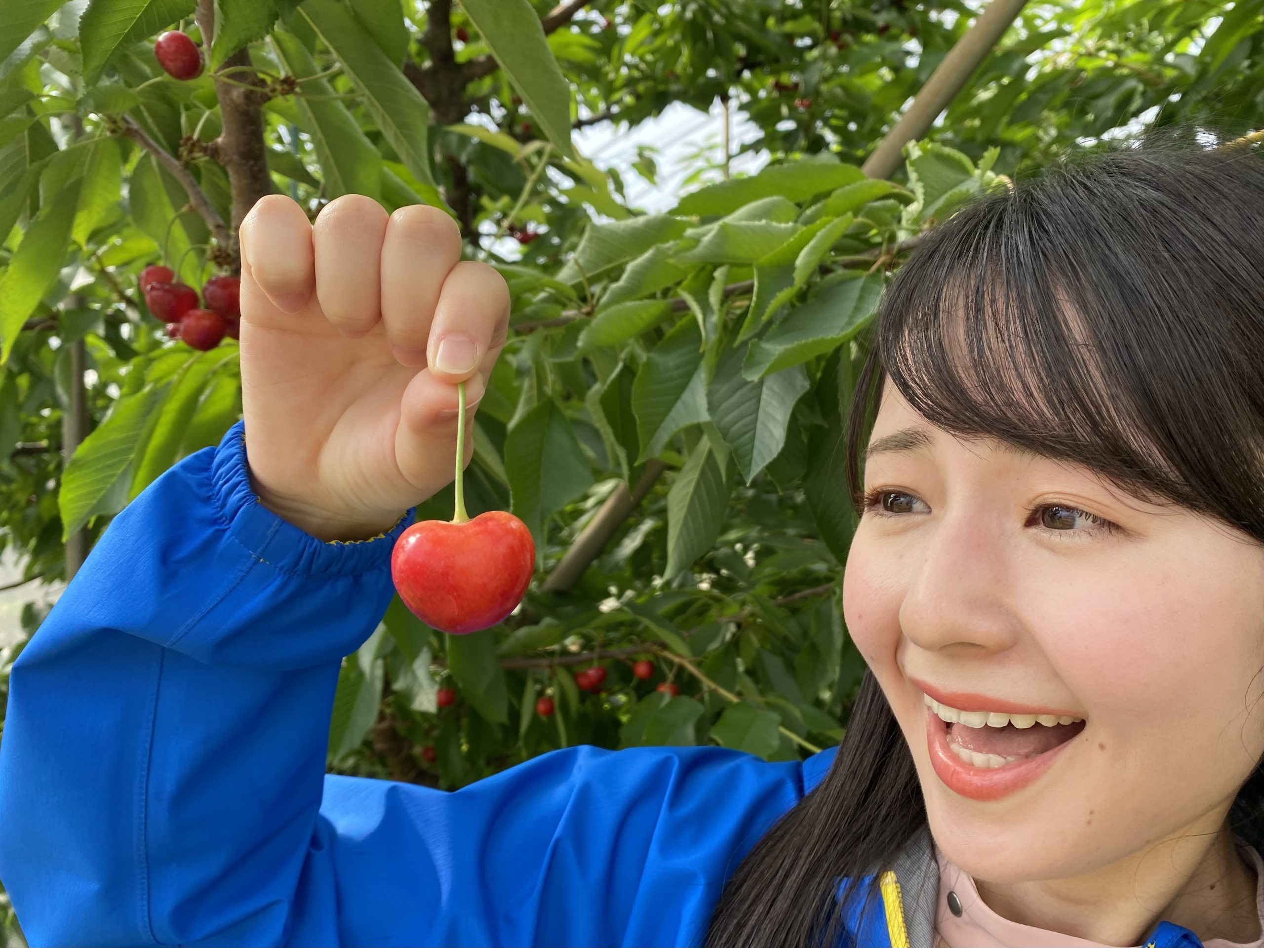 きのうのZIP！ - YBC 山形放送