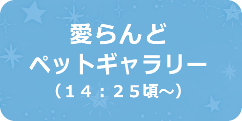 愛らんどペットギャラリー