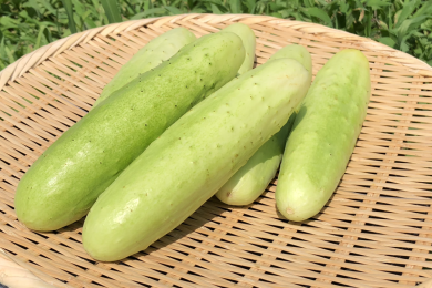 最上伝承野菜