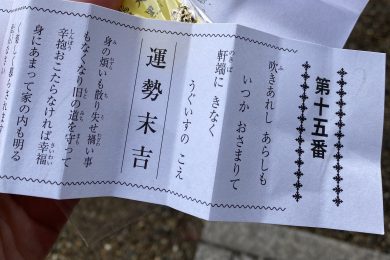 ”ダダダダっ、ぴょ～ん🐇”と令和5年