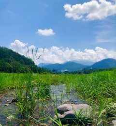 真夏の馬見ヶ崎川