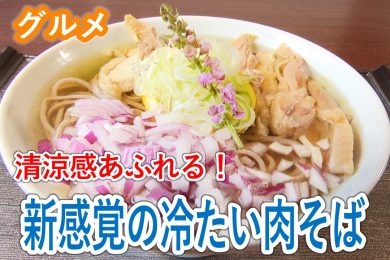 ピヨ卵週末グルメ「新感覚！清涼感あふれる冷たい肉そば」