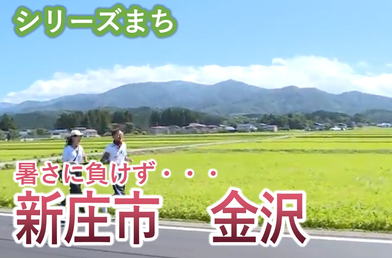 ぴよぴょ様確認ページ お客様のご要望を形に｜ヒロセ通商