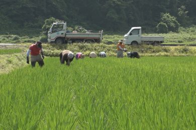 「“もち”みたいな暮らし3」＜2023年9月16日放送＞　