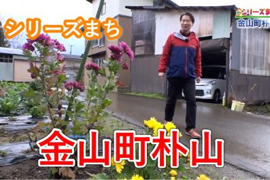 シリーズまち　「金山町朴山」