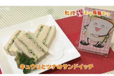 4月18日放送　田中浩明先生　キュウリとツナのサンドイッチ