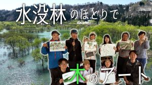 【ピヨ卵ワイド　特集】感じる木の息吹　水没林のほとりで