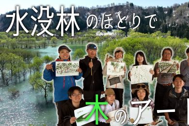 【ピヨ卵ワイド　特集】感じる木の息吹　水没林のほとりで