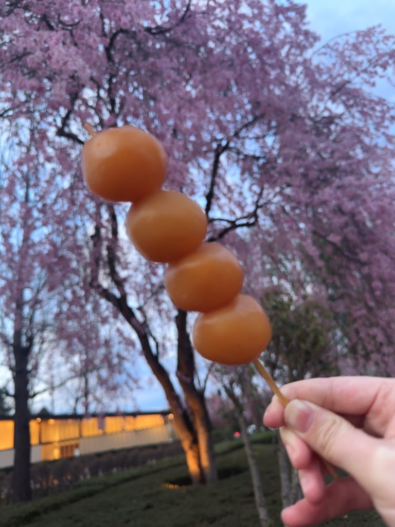 霞城公園のお花見で食べた玉こんにゃく
