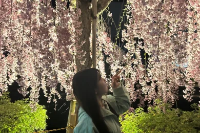 二回目の春