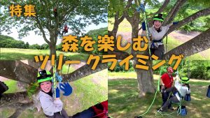 【ピヨ卵ワイド　特集】森を楽しむツリークライミング