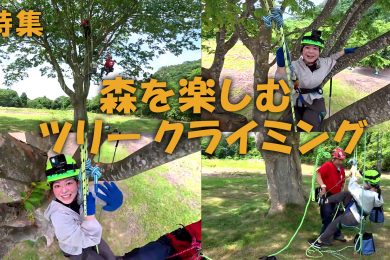 【ピヨ卵ワイド　特集】森を楽しむツリークライミング