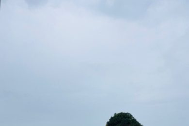 『真夏の冬歌大会！』2025.7.19