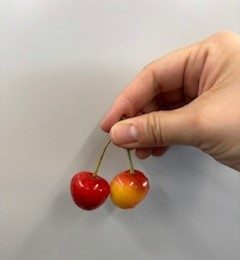 没入体験