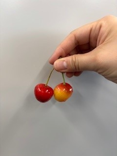 没入体験
