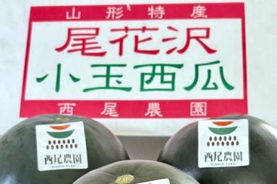 『大人の自由研究』2025.8.9