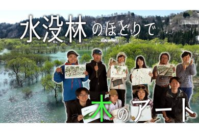 【ピヨ卵ワイド　特集】感じる木の息吹　水没林のほとりで