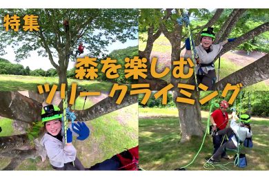 【ピヨ卵ワイド　特集】森を楽しむツリークライミング