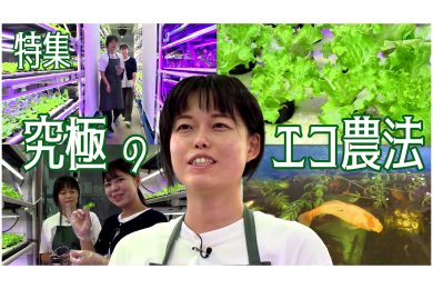【ピヨ卵ワイド　特集】いま注目のアクアポニックス～植物と魚を同じシステムで育てる