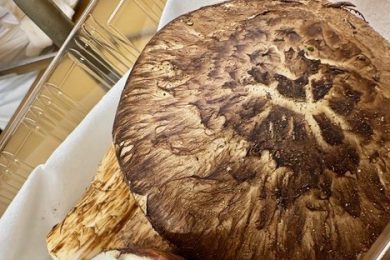 『月末恒例フリー』2025.10.25