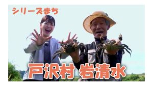 【ピヨ卵ワイド　シリーズまち】戸沢村岩清水