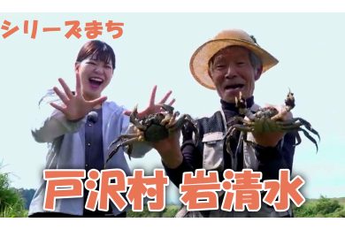 【ピヨ卵ワイド　シリーズまち】戸沢村岩清水