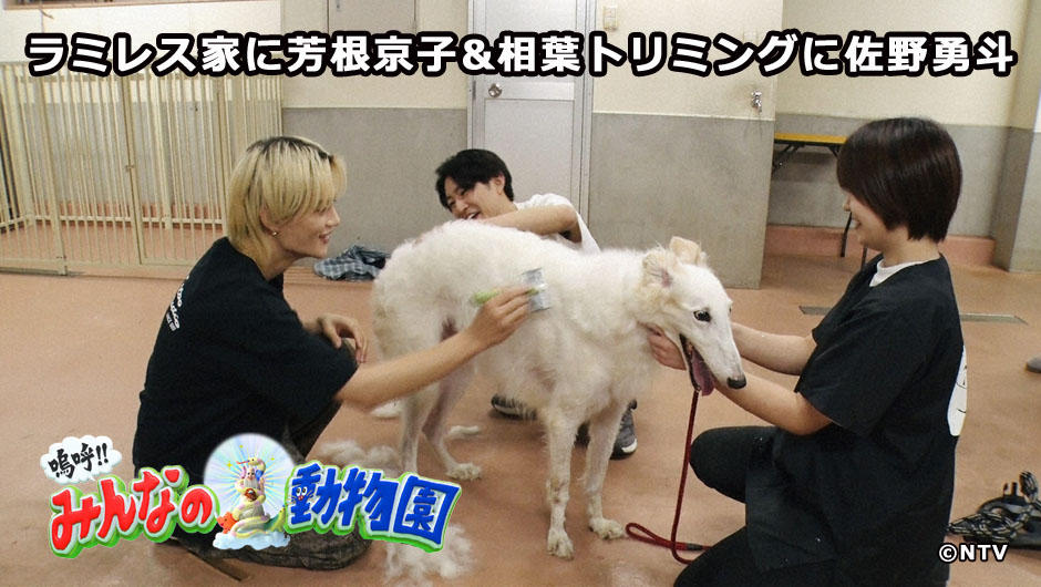 20251101みんなの動物園