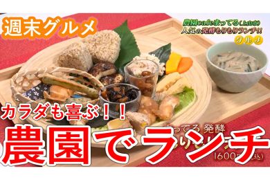 カラダも喜ぶ！！農園でランチ