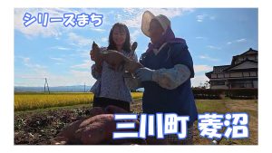 【ピヨ卵ワイド　シリーズまち】三川町菱沼