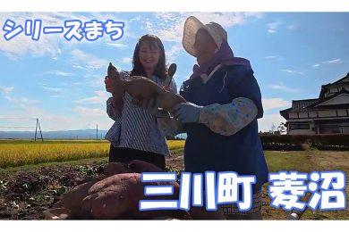 【ピヨ卵ワイド　シリーズまち】三川町菱沼