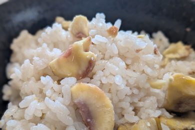 食欲の秋ですね～