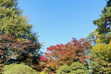 『自分のBGM』2025.11.1