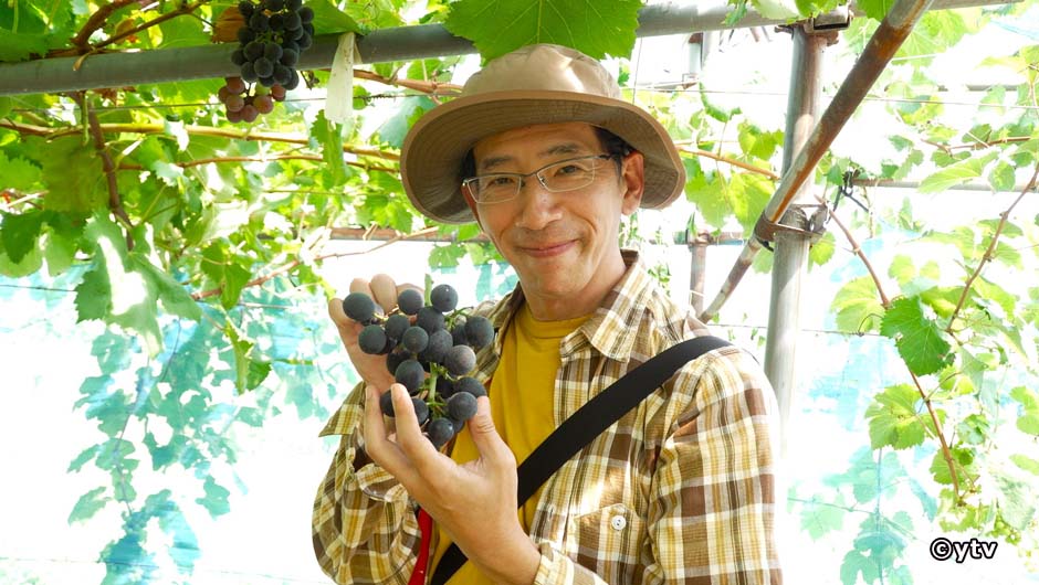 20251116遠くへ行きたい