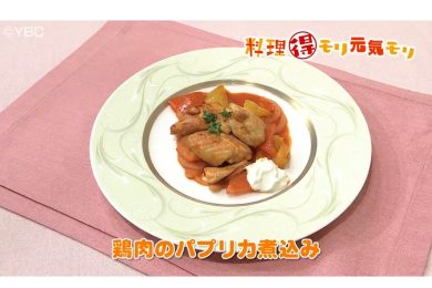 11月14日放送　菅野由子先生　鶏肉のパプリカ煮込み