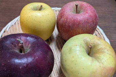 リンゴ「見た目」クイズ！