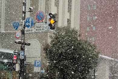 目覚めのいい季節がやってきた！