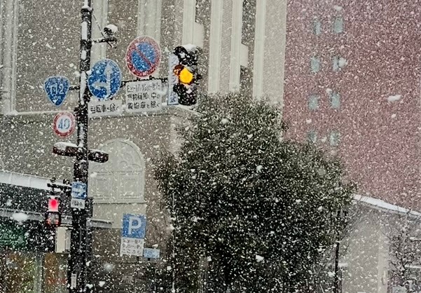 目覚めのいい季節がやってきた！