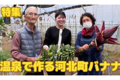 【ピヨ卵ワイド　特集】温泉で作る河北町のバナナ