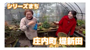 【ピヨ卵ワイド　シリーズまち】庄内町堤新田（つつみしんでん）