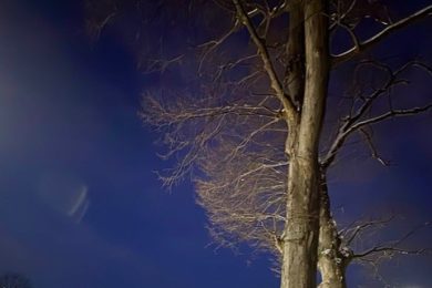 『真冬の夏歌大会』2026.1.24