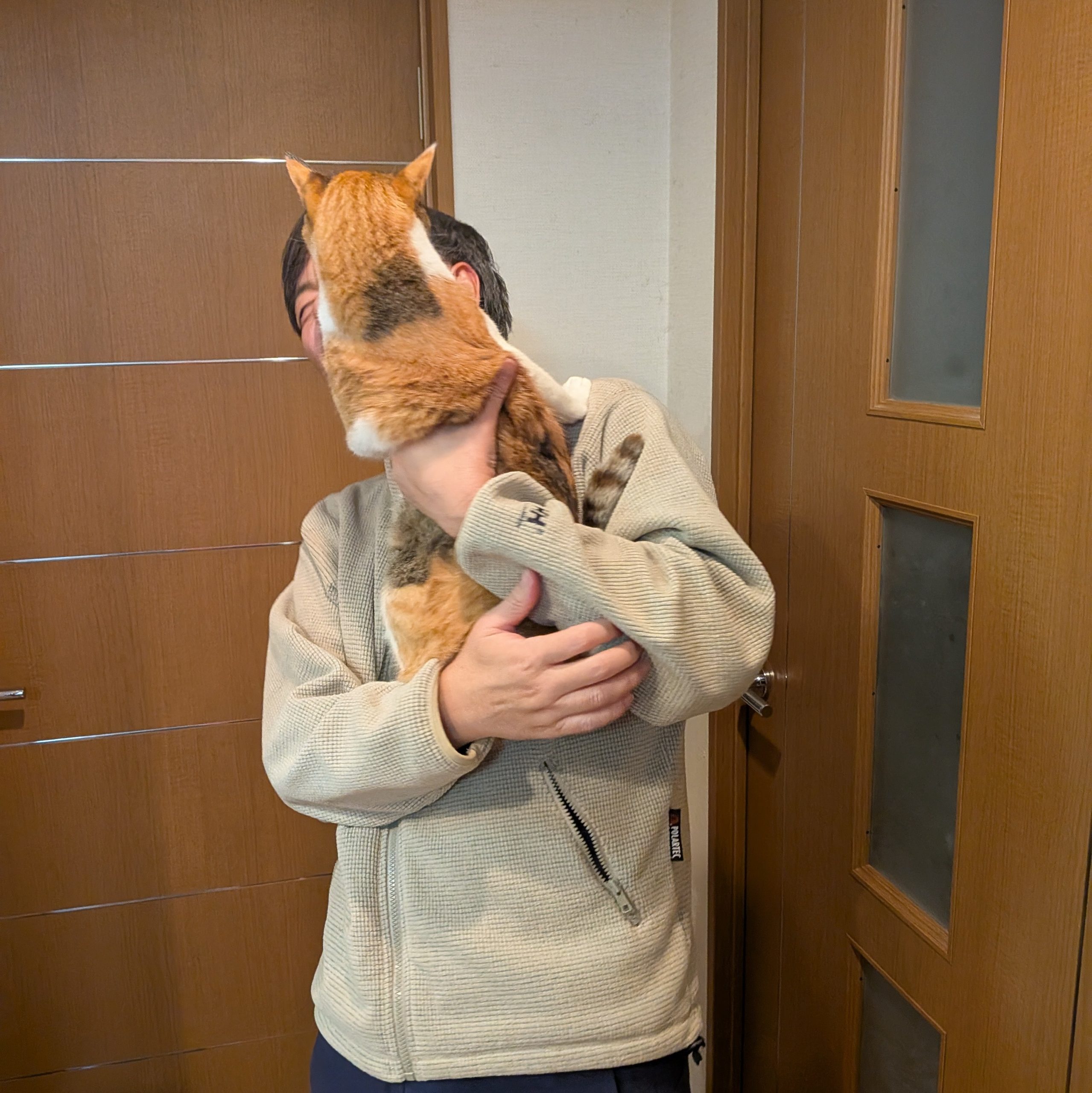 寄って来るのに抱っこはNG