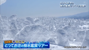 ピヨ卵ワイド・とっておきの樹氷鑑賞ツアー