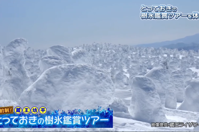ピヨ卵ワイド・とっておきの樹氷鑑賞ツアー