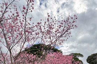 『第6回・奥山さんに聞いてみよう！』2026.2.7