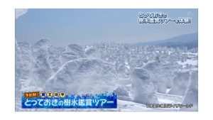 ピヨ卵ワイド・とっておきの樹氷鑑賞ツアー