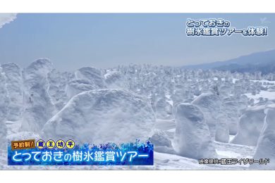 ピヨ卵ワイド・とっておきの樹氷鑑賞ツアー