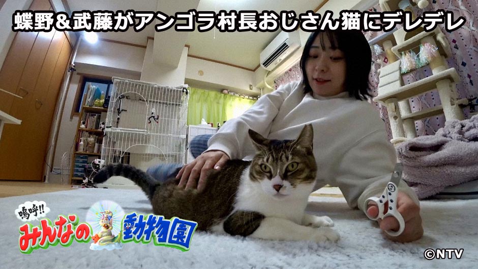 20260307みんなの動物園