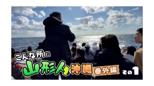 【金のピヨ卵】沖縄番外編その1