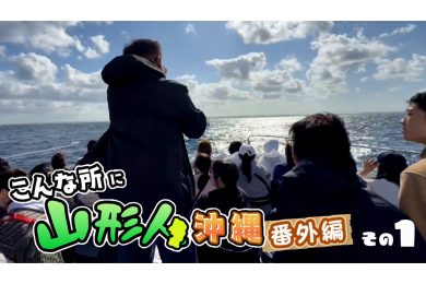 【金のピヨ卵】沖縄番外編その1